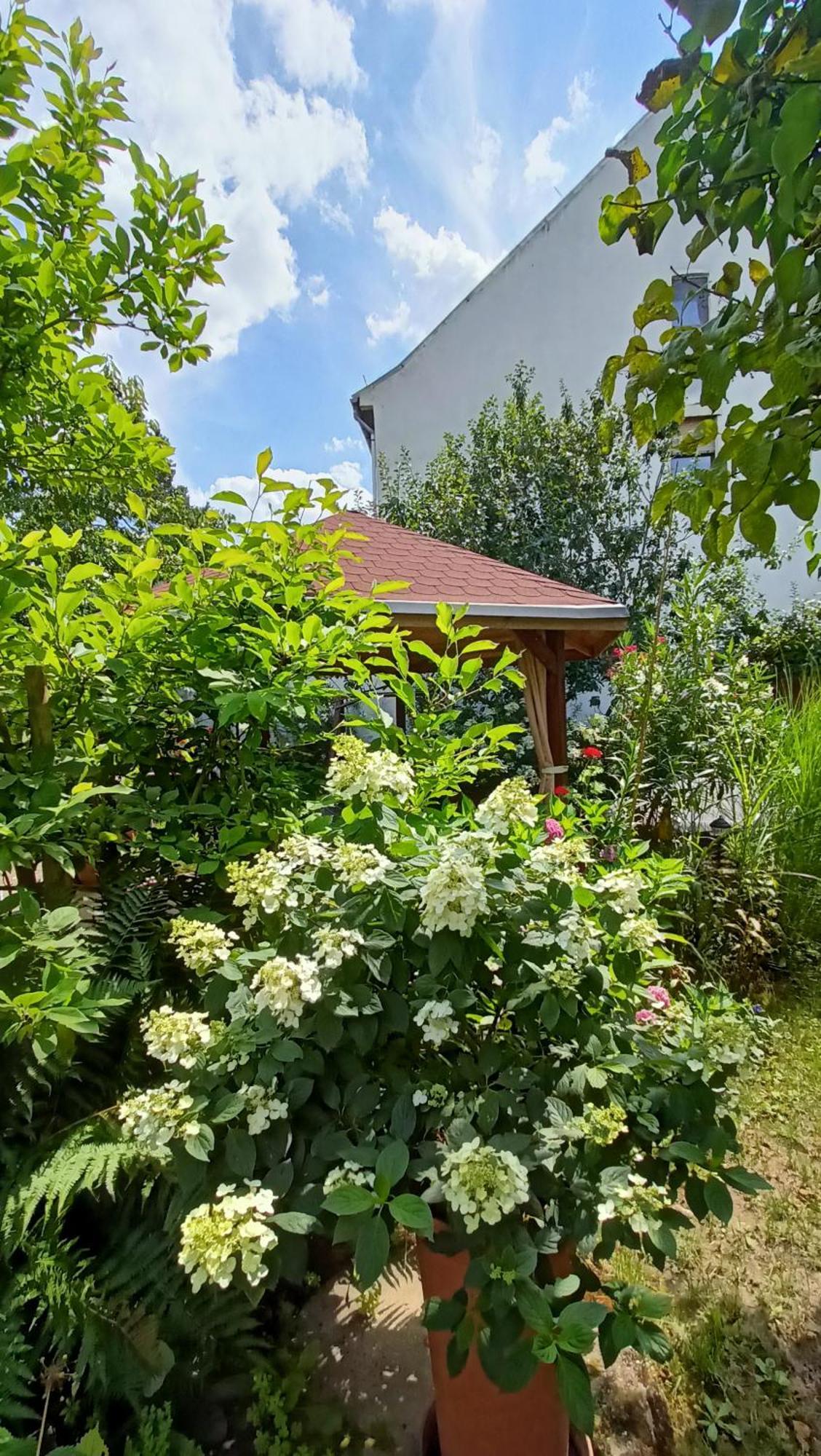 Urlaub Mit Charme In Der Kleinsten Stadt Der Pfalz.